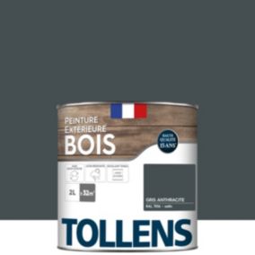 PEINTURE BOIS EXTERIEUR/INTERIEUR EXTREME SATIN 0L5 ANTHRACITE