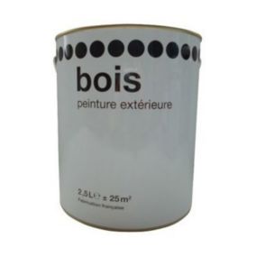 Peinture bois extérieur XPRO3 Satin 5L RIPOLIN - Ton: Gris