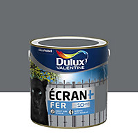 Peinture extérieure Ecran+ Fer protection antirouille Dulux Valentine brillant anthracite RAL 7016 2L