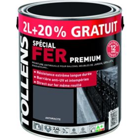 Peinture extérieure et intérieure fer gris anthracite brillant Tollens 2L +20% gratuit