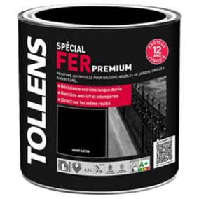 Peinture extérieure et intérieure fer noir satin Tollens 0,5L