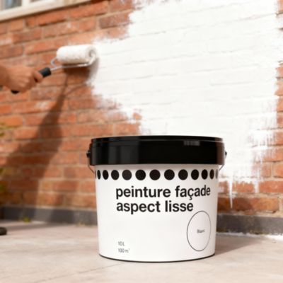 Peinture extérieure façade aspect lisse blanc 10L