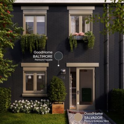 Peinture extérieure façade conditions extrêmes GoodHome baltimore 5L