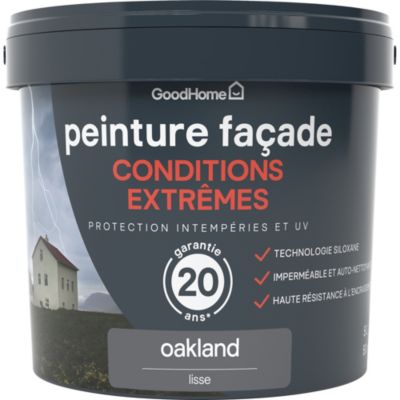 Peinture extérieure façade conditions extrêmes GoodHome gris Oakland 5L