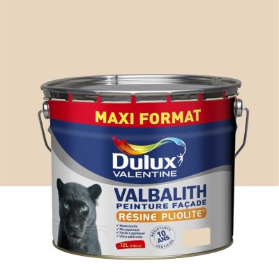 Peinture extérieure façade monocouche microporeuse Valbalith Dulux Valentine mat ton pierre 12L