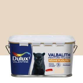 Dulux Valentine Peinture Ecran+ Multi-Supports Extérieure Façades - Crépis,  Briques, Ciment, Enduit, Alu, Zinc, PVC - Couleur Longue Tenue - Mat Gris