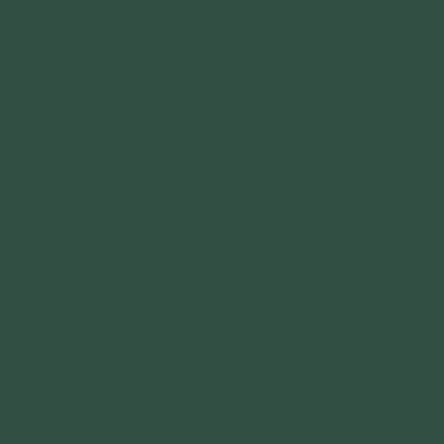 Peinture extérieure fer Tollens brillant vert basque 500ml