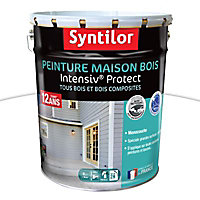 Peinture extérieure maison bois Intensiv Protect Syntilor blanc 8L