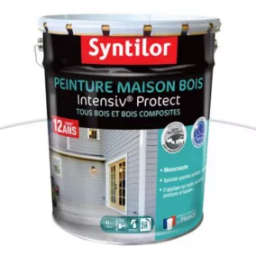 Peinture extérieure maison bois Intensiv Protect Syntilor blanc 8L