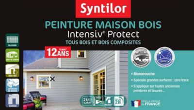 Peinture extérieure maison bois Intensiv Protect Syntilor gris bleuté 2L