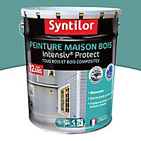 Peinture extérieure maison bois Intensiv Protect Syntilor gris bleuté 8L