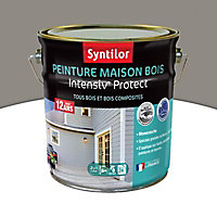 Peinture extérieure maison bois Intensiv Protect Syntilor gris cendré 2L
