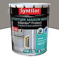 Peinture extérieure maison bois Intensiv Protect Syntilor gris cendré 8L
