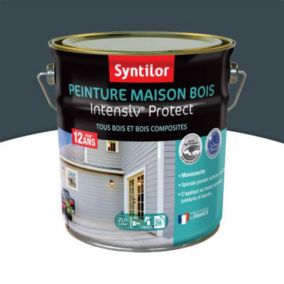 Peinture extérieure maison bois Intensiv Protect Syntilor gris foncé 2L