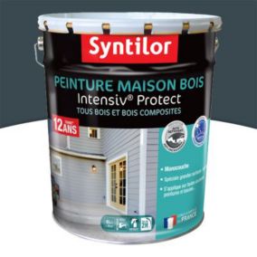 Peinture extérieure maison bois Intensiv Protect Syntilor gris foncé 8L