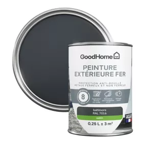 Peinture extérieure métal GoodHome Baltimore gris RAL 7016 satin 250ml