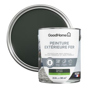 Peinture extérieure métal GoodHome Beaumont vert RAL 6009 satin 2.5L