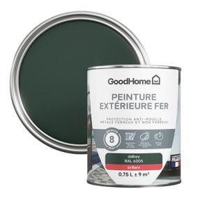 Peinture extérieure métal GoodHome Dalkey vert RAL 6005 brillant 0.75L