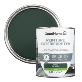 Peinture extérieure métal GoodHome Dalkey vert RAL 6005 satin 0.75L