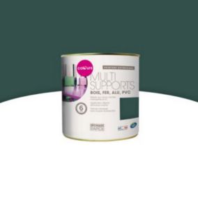 Peinture extérieure multi-supports vert basque satin Colours 0,25L