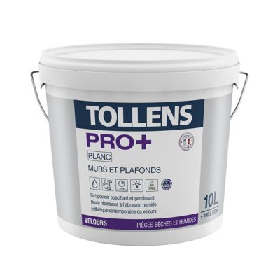 Peinture extérieure murs et plafonds Tollens pro+ velours 10L