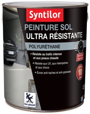Peinture extérieure pour sol ultra résistante acier satin Syntilor 2,5L