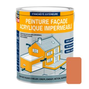 Peinture façade acrylique, protection,  imperméabilisation des façades-2.5 litres-Argile (RAL  050 60 40)-PRO COM