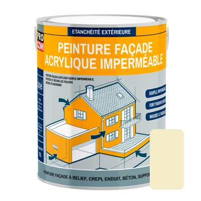 Peinture façade acrylique, protection,  imperméabilisation des façades-2500-Sable (RAL 9001)-PRO COM