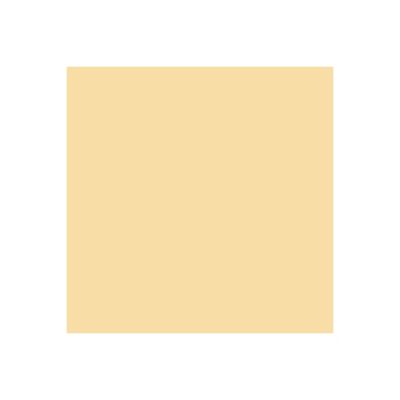 Peinture Façade Siloxane - Arcafaçade Siloxane Jaune Paille - RAL 085 90 30 - 10 L (+ ou - 60 m² en 1 couche) - ARCANE INDUSTRIES