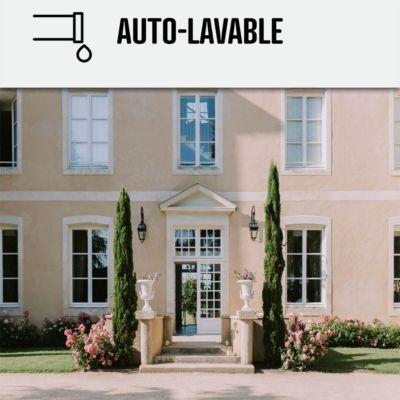 Peinture Façade Siloxane - Arcafaçade Siloxane Jaune Paille - RAL 085 90 30 - 10 L (+ ou - 60 m² en 1 couche) - ARCANE INDUSTRIES