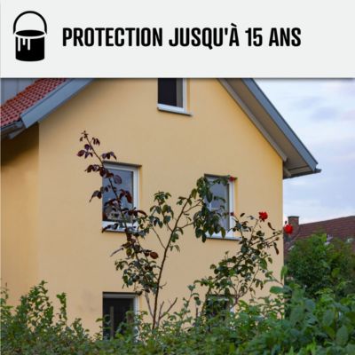 Peinture Façade Siloxane - Arcafaçade Siloxane Jaune Paille - RAL 085 90 30 - 10 L (+ ou - 60 m² en 1 couche) - ARCANE INDUSTRIES