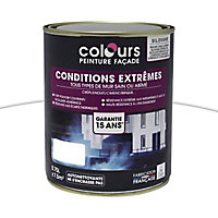 Peinture façade Colours Conditions extrêmes blanc 0,75L