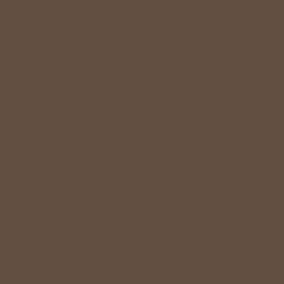 Peinture fer extérieur brun normand brillant V33 Solution Expert 2 L