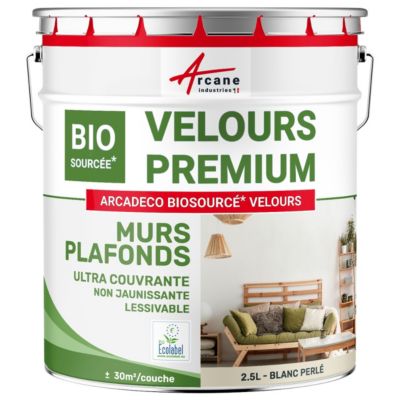 Peinture finition velours d'origine naturelle pour mur et plafond Blanc Perlé - RAL 1013 - 2.5 L  - ARCANE INDUSTRIES