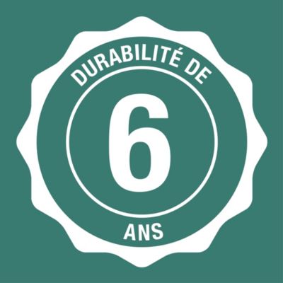 Peinture Grise pour Jardin et terrasse, Finition Mate - RUST-OLEUM - Bouleau 750ml