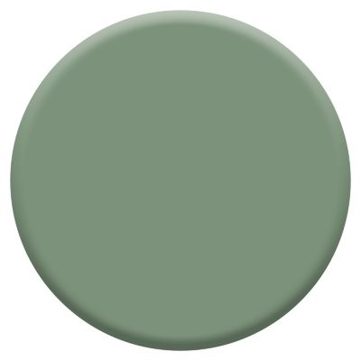 Peinture haute résistance Crème de couleur cuisine et bain Dulux Valentine vert ginkgo satin 2L