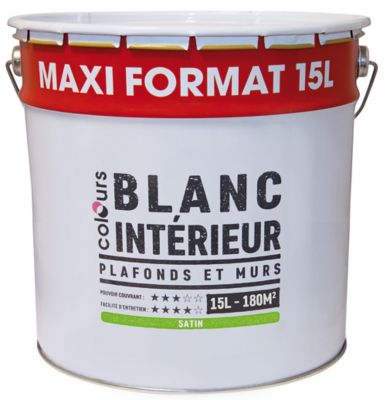 Peinture intérieure plafonds et murs COLOURS blanc satin 15 L | Castorama