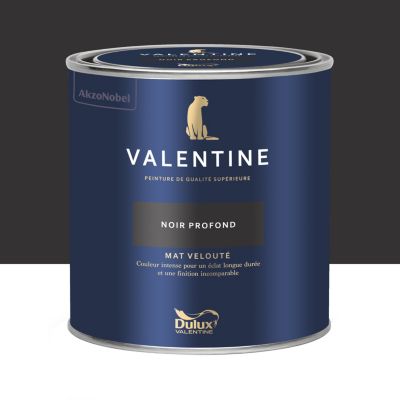Peinture intérieure couleur mur et plafond Valentine mat velouté noir profond 0,5L