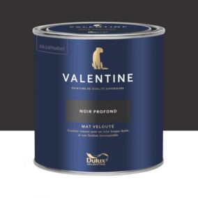 Peinture intérieure couleur mur et plafond Valentine mat velouté noir profond 0,5L