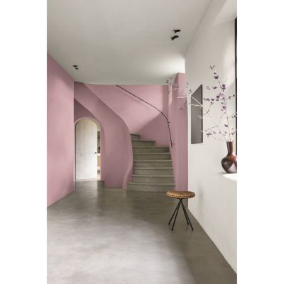 Peinture intérieure couleur mur et plafond Valentine mat velouté rose espiègle 2L