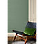 Peinture intérieure couleur mur et plafond Valentine mat velouté vert yunnan 0,5L