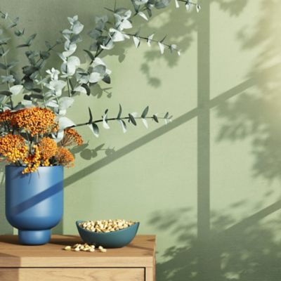 Peinture intérieure couleur murs, boiseries et radiateurs GoodHome mat edenberry vert 750ml