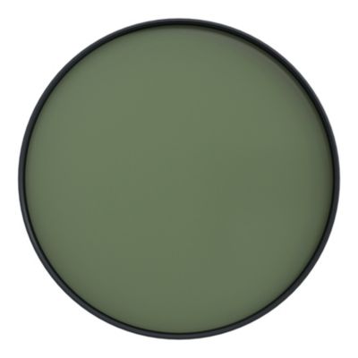 Peinture intérieure couleur murs, boiseries et radiateurs GoodHome mat edenberry vert 750ml