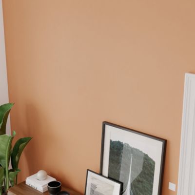 Peinture intérieure couleur murs, boiseries et radiateurs GoodHome satin bilbao marron 2.5L
