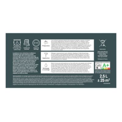 Peinture intérieure couleur murs, boiseries et radiateurs GoodHome satin princeton gris 2.5L