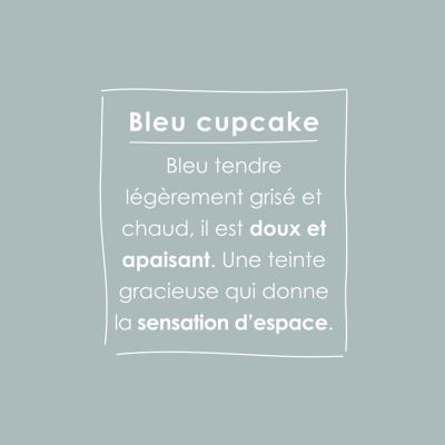 Peinture intérieure Ripolin O'Pur bleu cupcake satin 0,5L