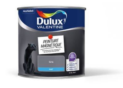 Peinture magnétique Dulux Valentine mat gris 0,5L