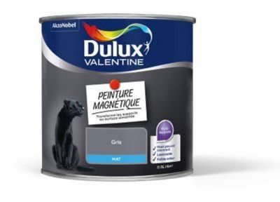 Peinture magnétique Dulux Valentine mat gris 0,5L