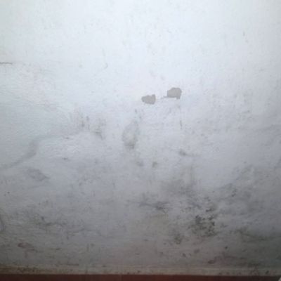 Peinture mate anti-moisissure pour intérieur (25 kg, Acrylique mat). Peinture respirante qui empêche la condensation