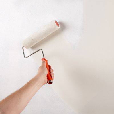 Peinture mate anti-moisissure pour intérieur (25 kg, Acrylique mat). Peinture respirante qui empêche la condensation